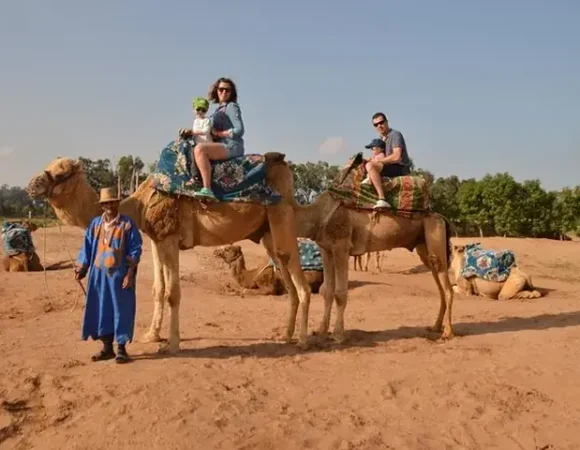 Camel Ride